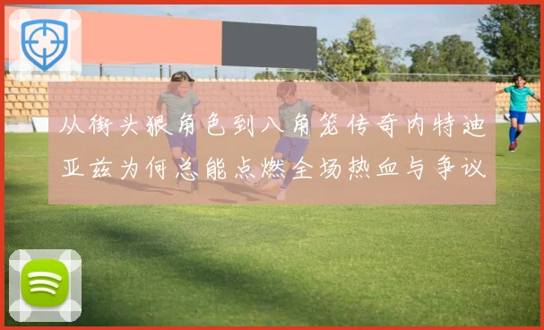 从街头狠角色到八角笼传奇内特迪亚兹为何总能点燃全场热血与争议