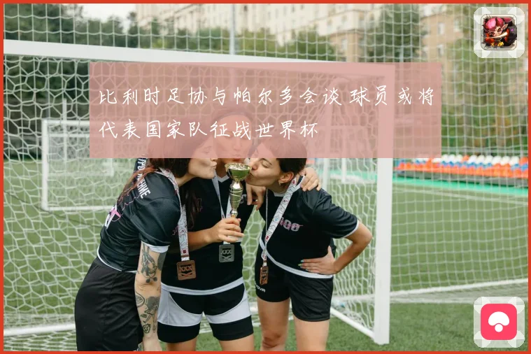 比利时足协与帕尔多会谈 球员或将代表国家队征战世界杯