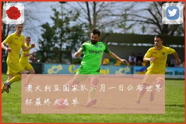 澳大利亚国家队六月一日公布世界杯最终大名单